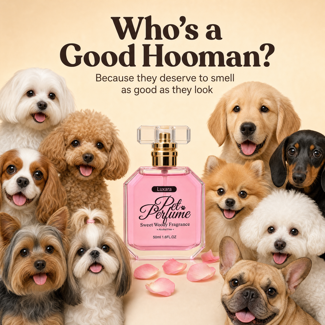 Who's a good hooman? Because they deserve to smell as good as they look