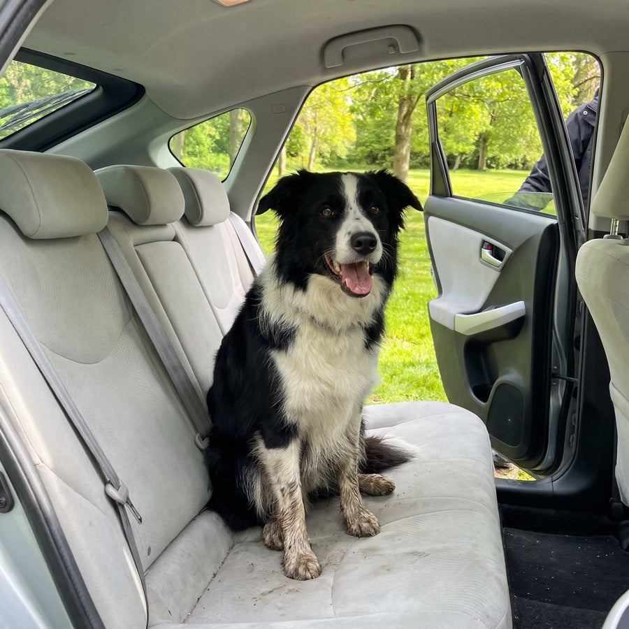 Car seats